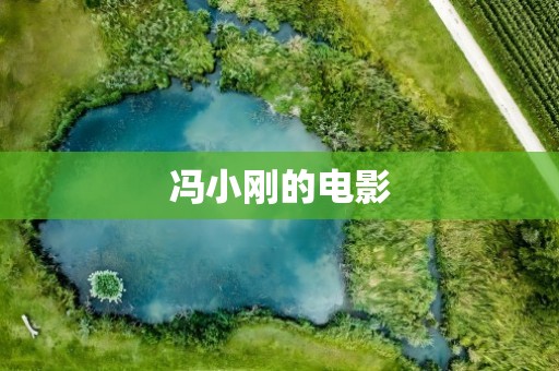 冯小刚的电影