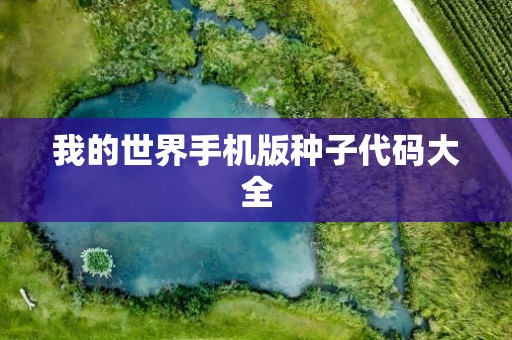我的世界手机版种子代码大全