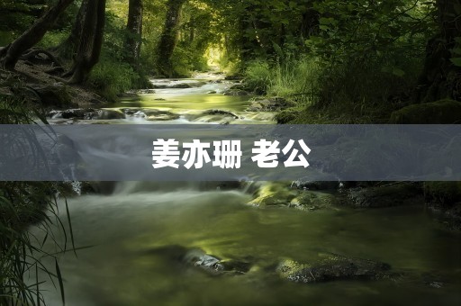 姜亦珊 老公