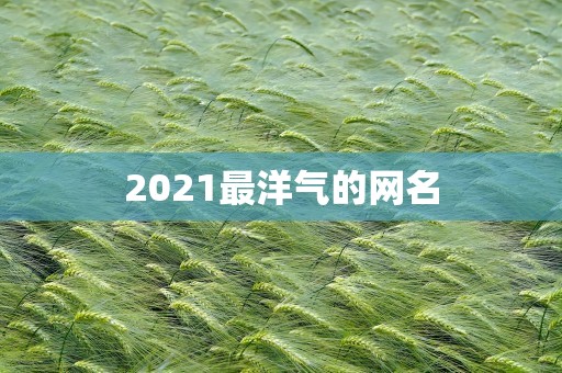 2021最洋气的网名