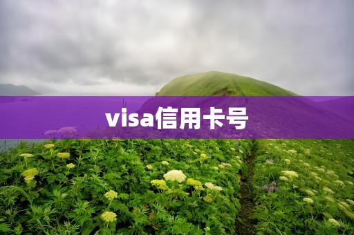 visa信用卡号
