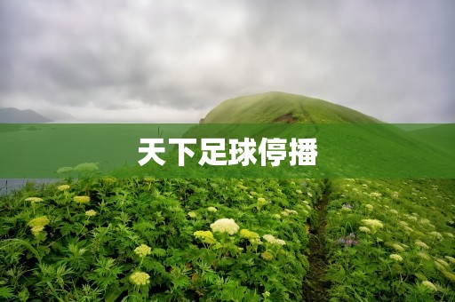 天下足球停播