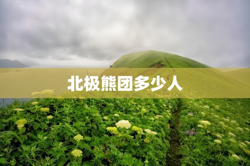北极熊团多少人