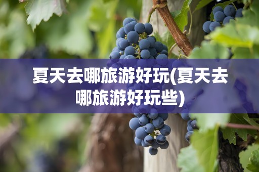 夏天去哪旅游好玩(夏天去哪旅游好玩些)