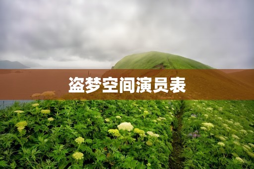盗梦空间演员表