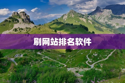 刷网站排名软件
