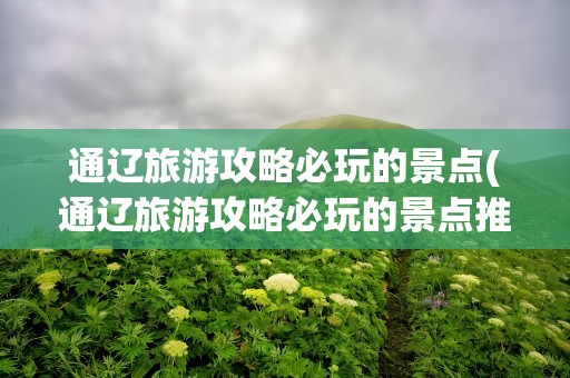 通辽旅游攻略必玩的景点(通辽旅游攻略必玩的景点推荐)