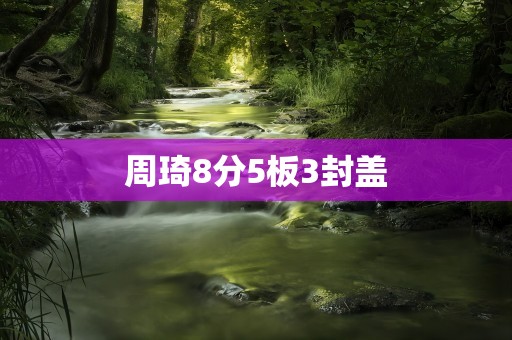 周琦8分5板3封盖