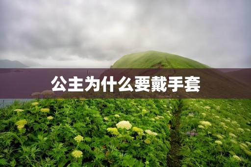 公主为什么要戴手套