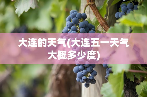 大连的天气(大连五一天气大概多少度)