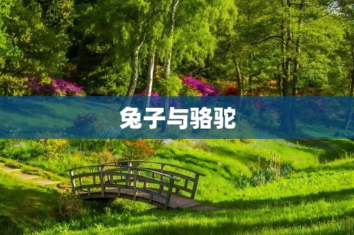 兔子与骆驼