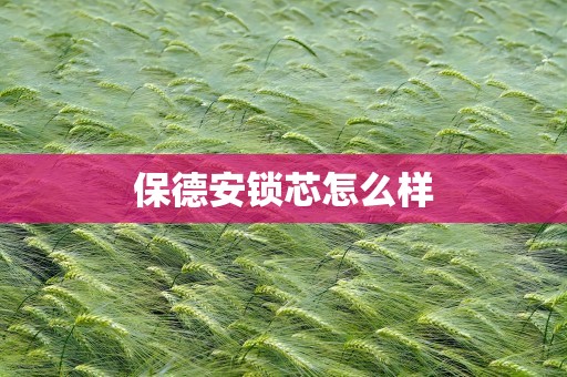 保德安锁芯怎么样