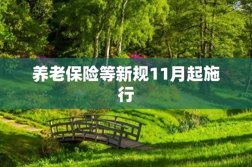 养老保险等新规11月起施行