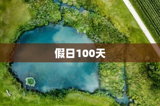 假日100天