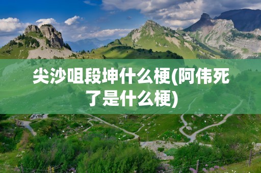 尖沙咀段坤什么梗(阿伟死了是什么梗)