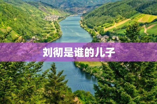 刘彻是谁的儿子