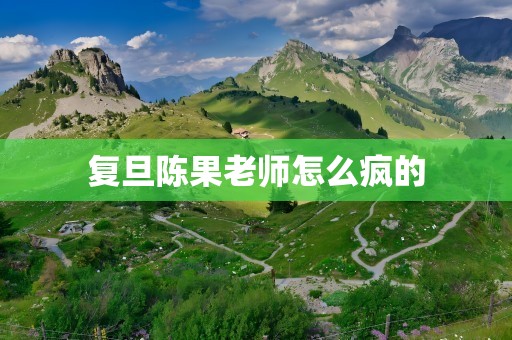 复旦陈果老师怎么疯的