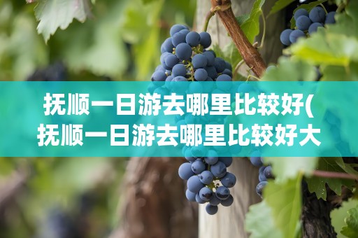 抚顺一日游去哪里比较好(抚顺一日游去哪里比较好大人)