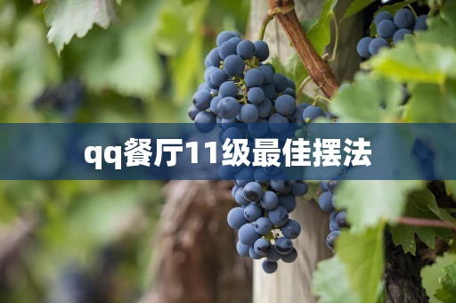 qq餐厅11级最佳摆法