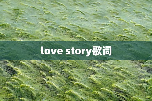 love story歌词