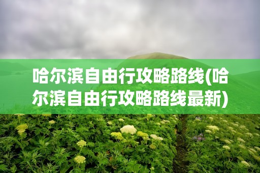 哈尔滨自由行攻略路线(哈尔滨自由行攻略路线最新)
