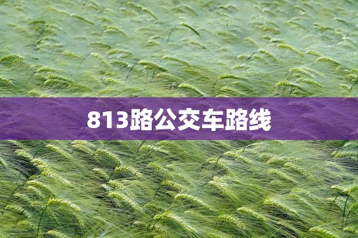 813路公交车路线