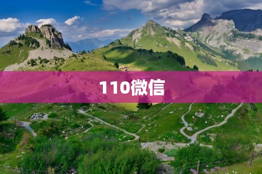 110微信