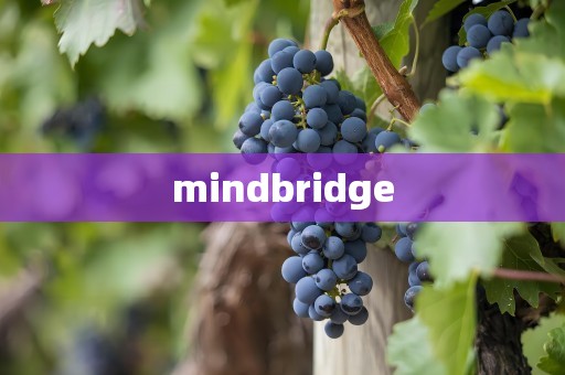 mindbridge
