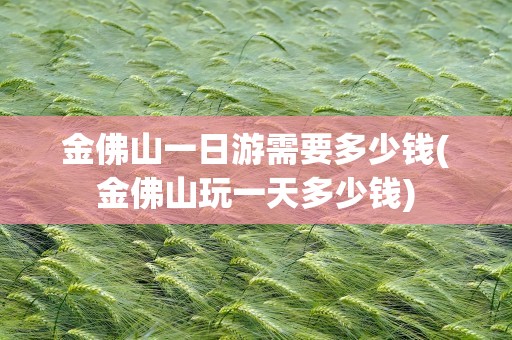 金佛山一日游需要多少钱(金佛山玩一天多少钱)