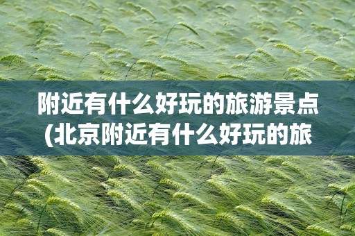附近有什么好玩的旅游景点(北京附近有什么好玩的旅游景点)