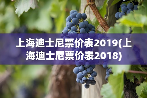 上海迪士尼票价表2019(上海迪士尼票价表2018)