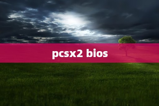 pcsx2 bios
