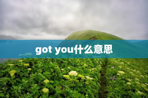 got you什么意思