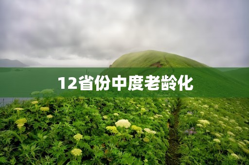 12省份中度老龄化