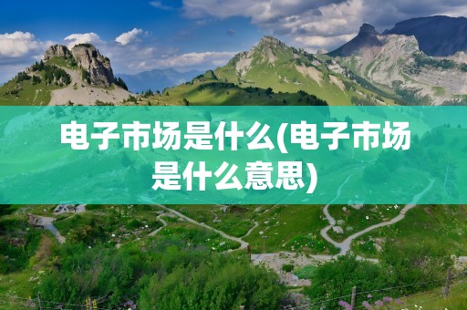 电子市场是什么(电子市场是什么意思)
