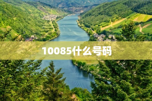 10085什么号码