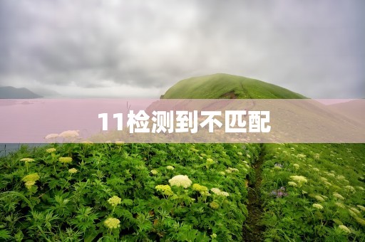 11检测到不匹配