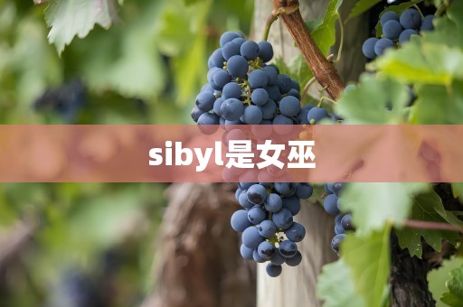 sibyl是女巫
