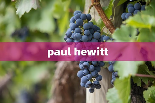 paul hewitt
