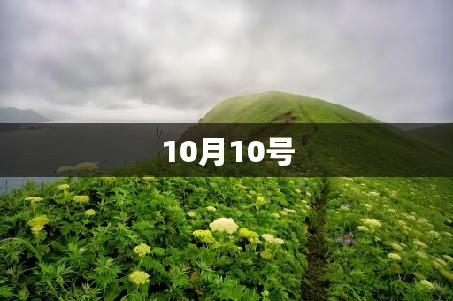 10月10号