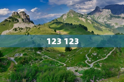 123 123