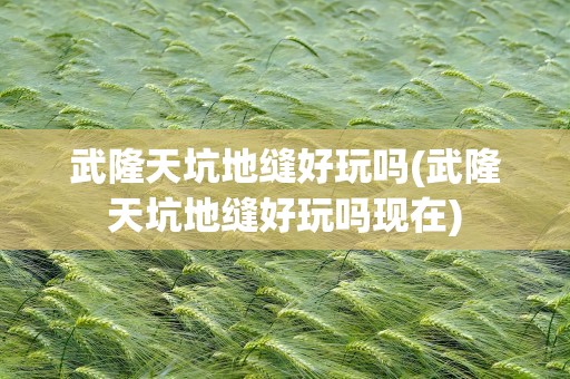 武隆天坑地缝好玩吗(武隆天坑地缝好玩吗现在)