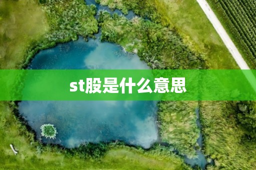 st股是什么意思