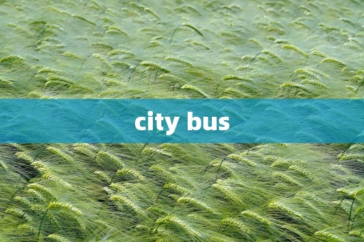 city bus