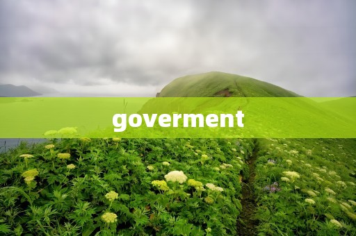 goverment