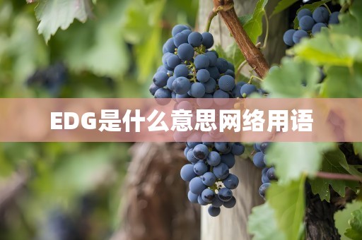 EDG是什么意思网络用语