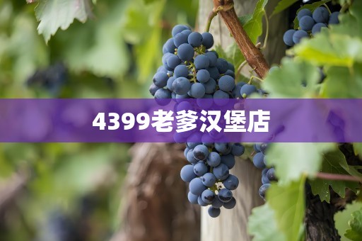 4399老爹汉堡店