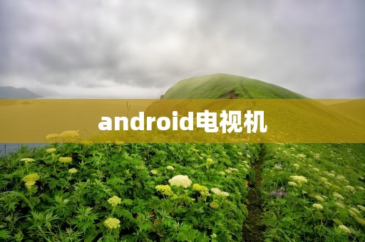 android电视机