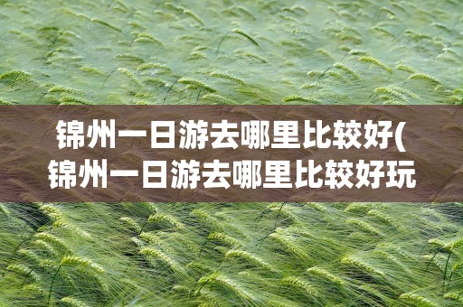 锦州一日游去哪里比较好(锦州一日游去哪里比较好玩)