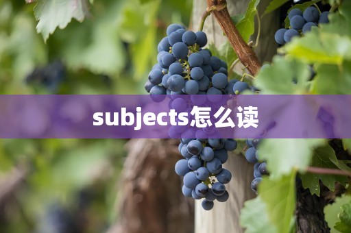 subjects怎么读
